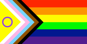 ProgressPrideFlag